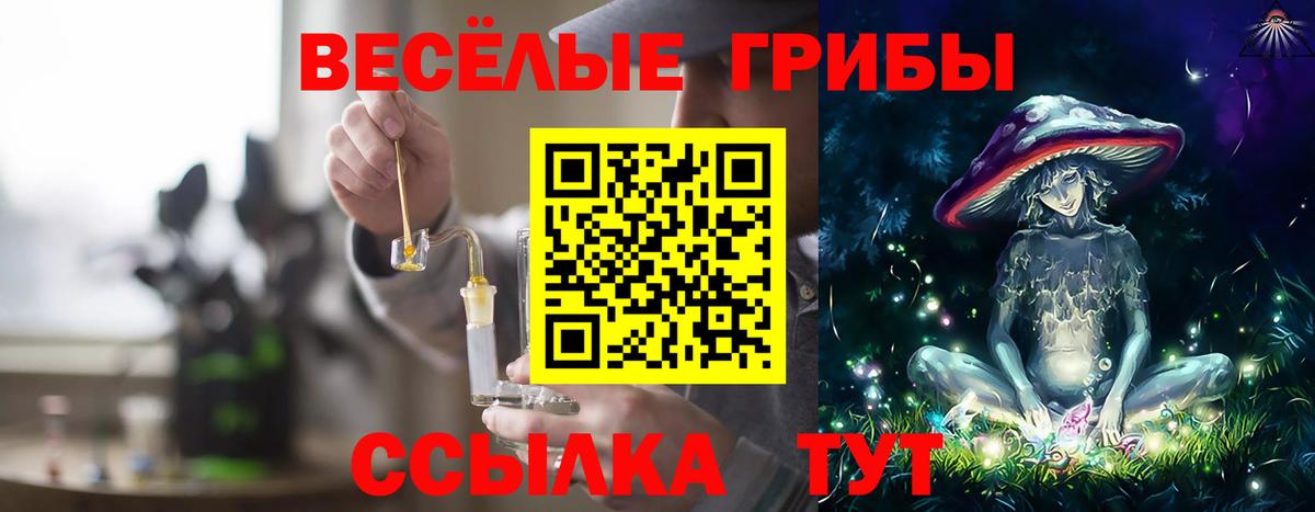 Псилоцибиновые грибы ЛСД  Вход с VPN  Грозный  Галлюциногенные грибы MAGIC MUSHROOMS 